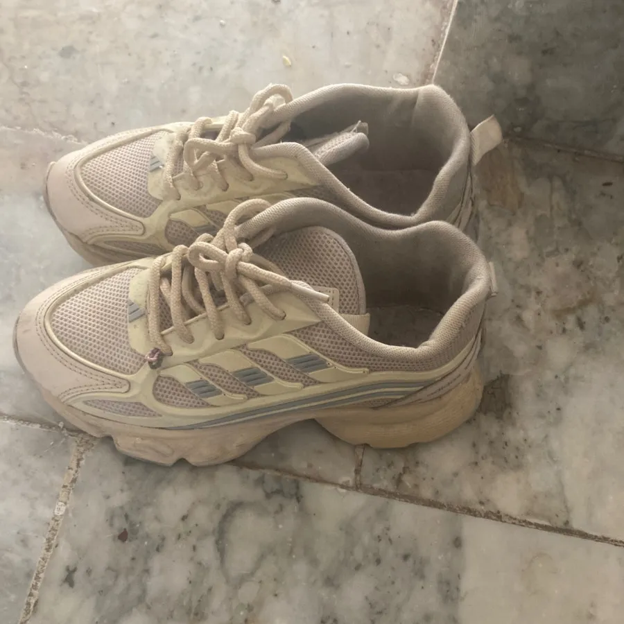 کفش کتونی
