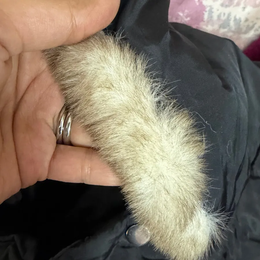 کاپشن برند shein کاملا نو