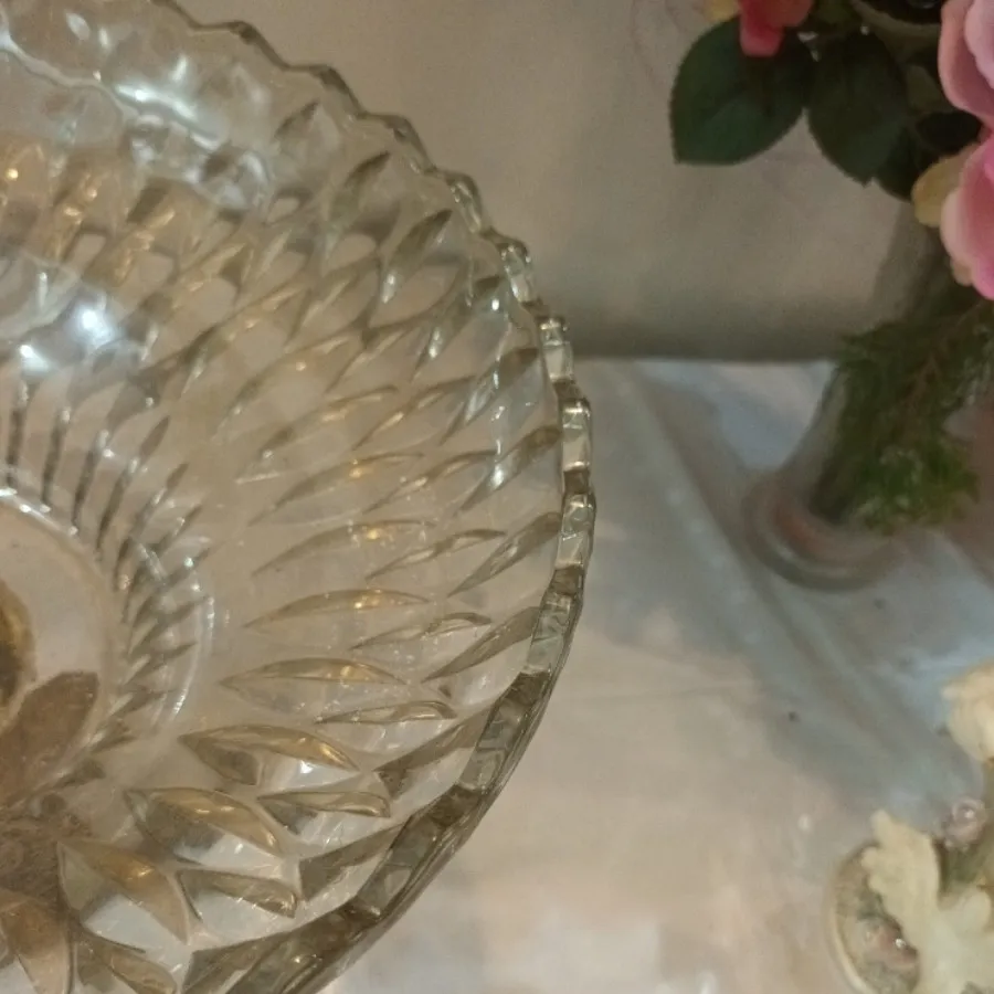 میوه خوری شامپاینی نو