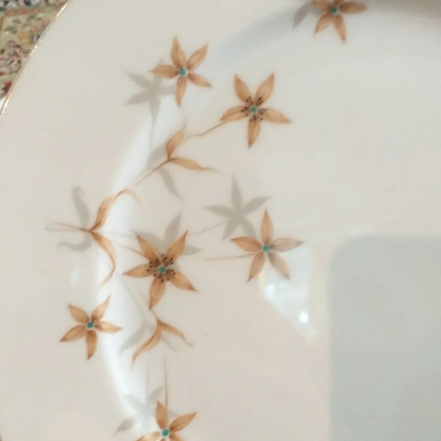 پلو خوری قدیمی ژاپنی