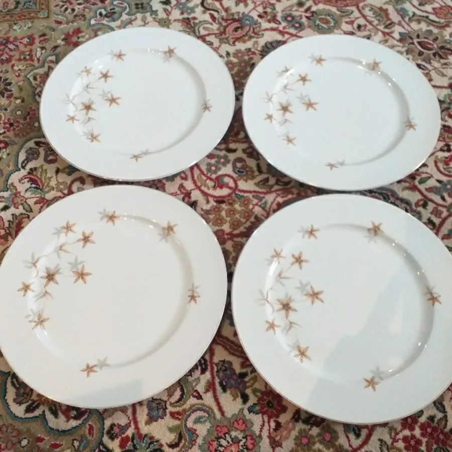 پلو خوری قدیمی ژاپنی