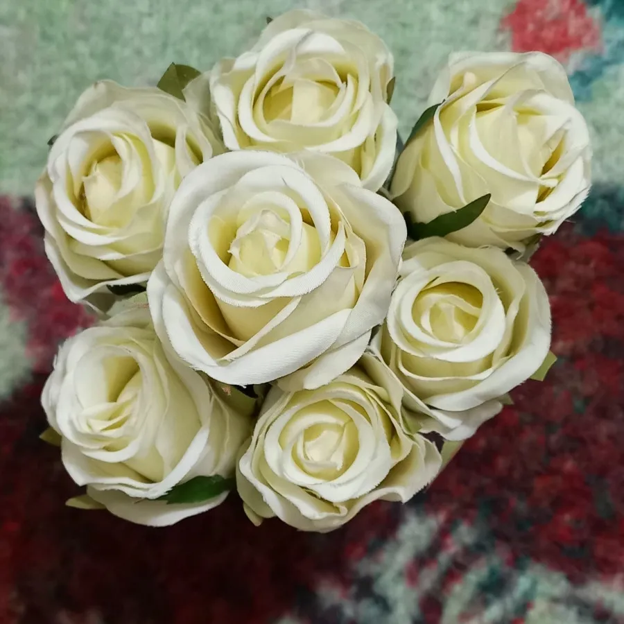 گل رز سفید