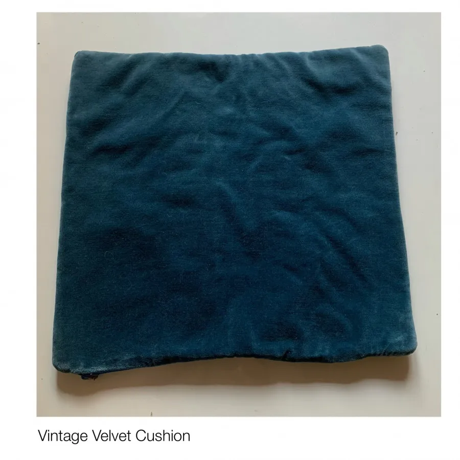 Velvet Cushion