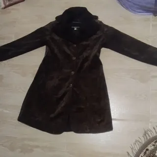 پالتو
