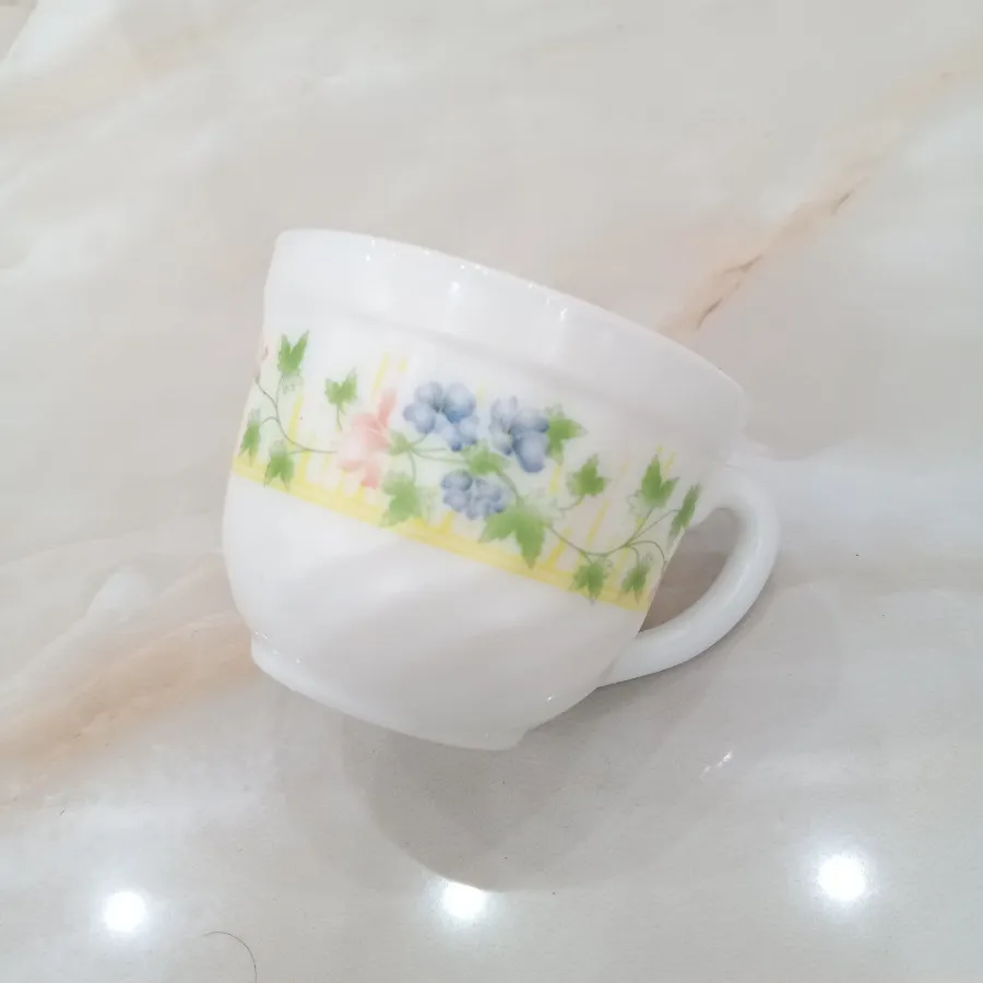 پیش دستی