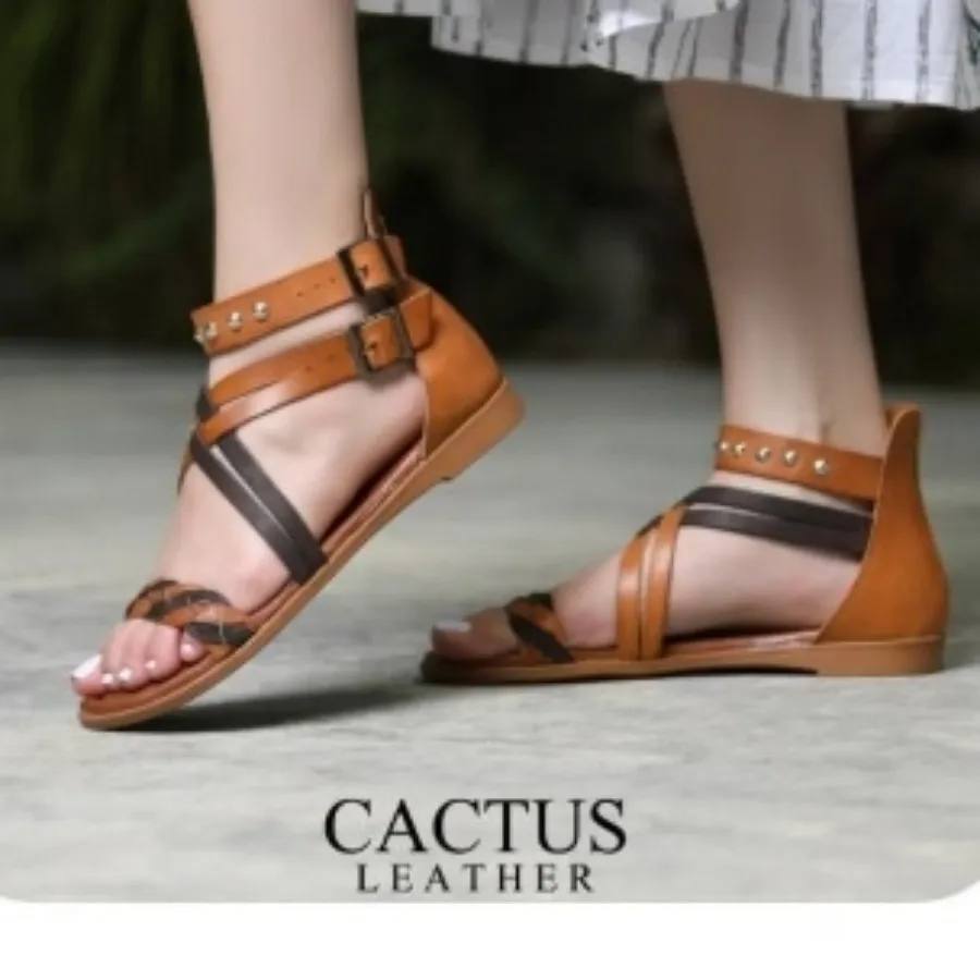 صندل کاکتوس