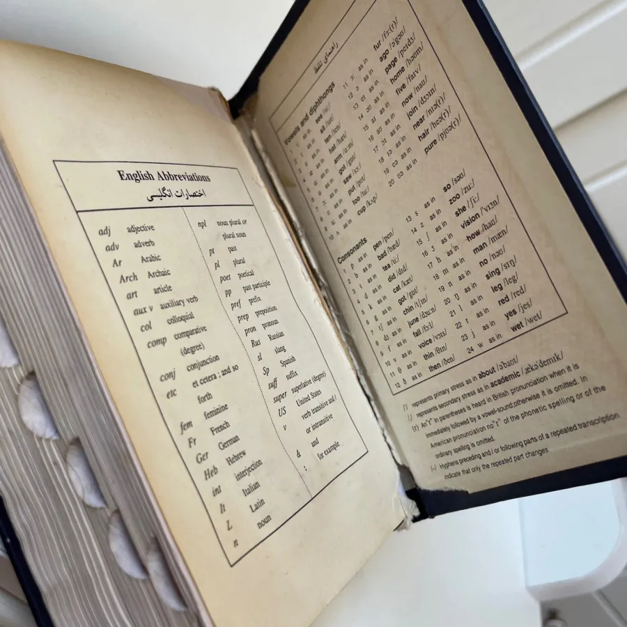 کتاب دیکشنری