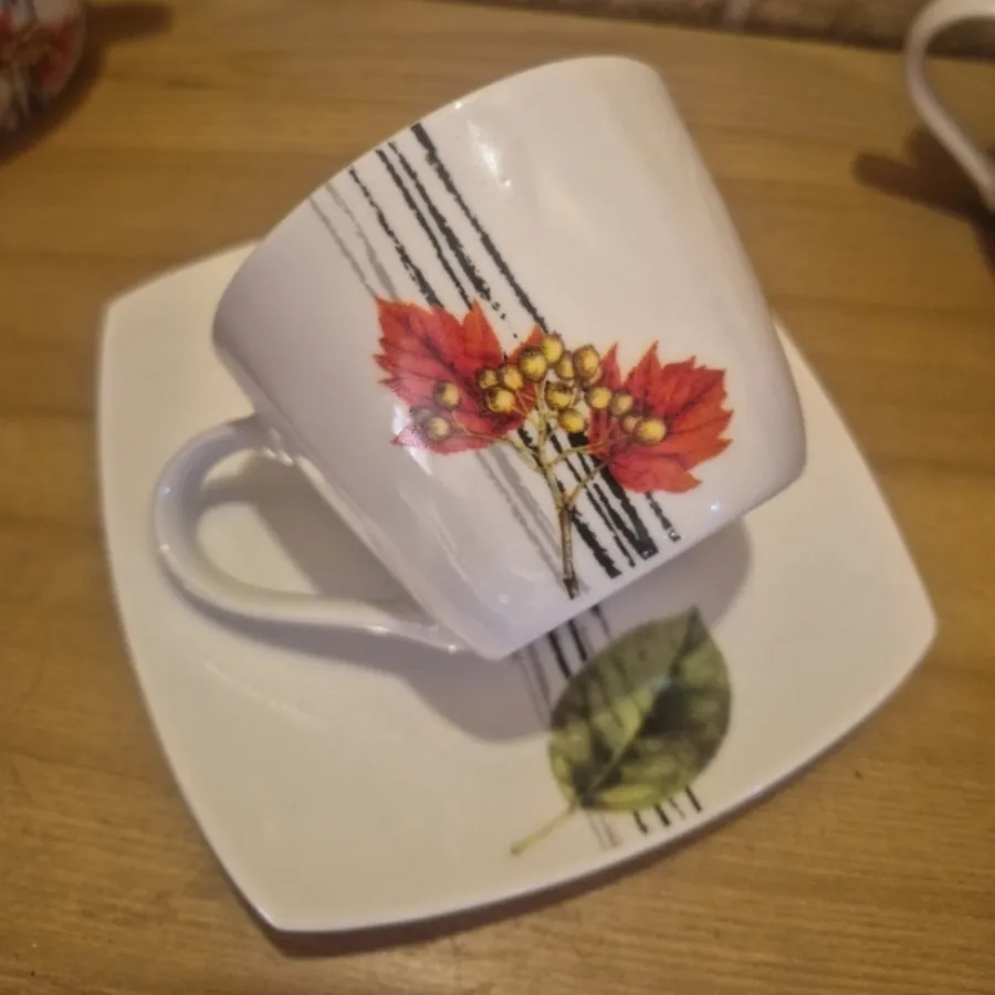 سرویس 12 پارچه قهوه خوری