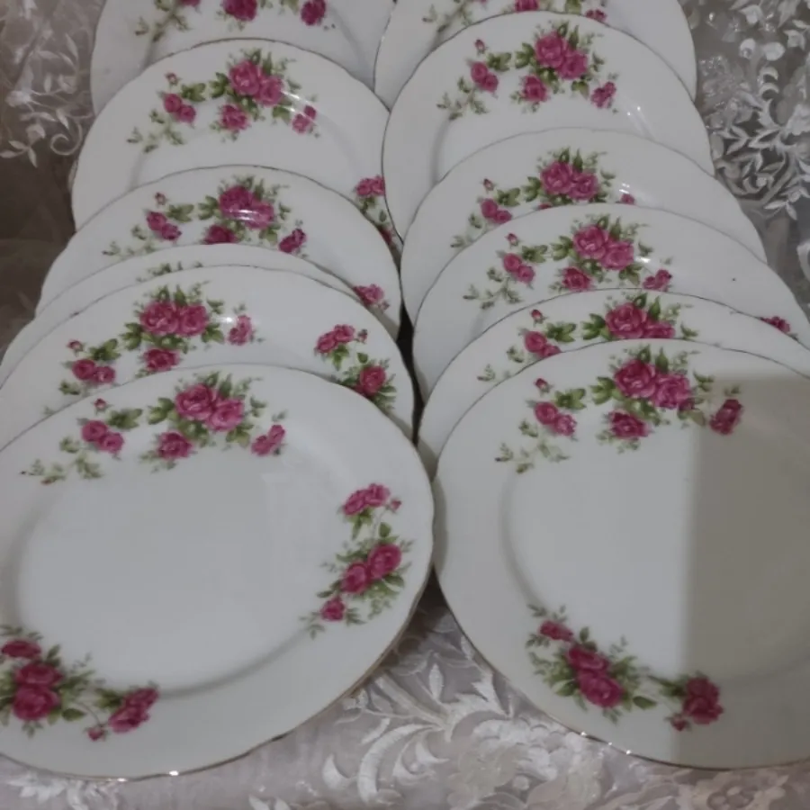 ظروف گل سرخی