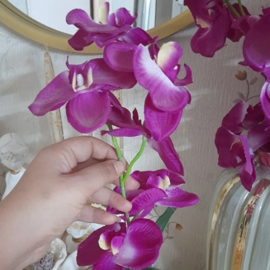 گلای جنس خوب