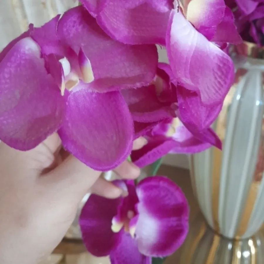 گلای جنس خوب