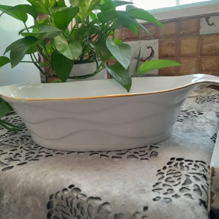 ظرف پذیرایی
