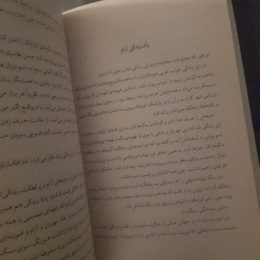 کتابخانه نیمه شب