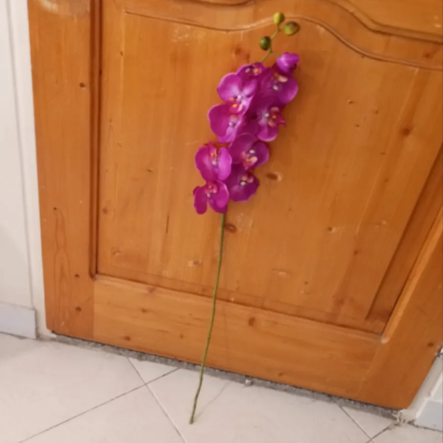 ارکیده مصنوعی یک متری