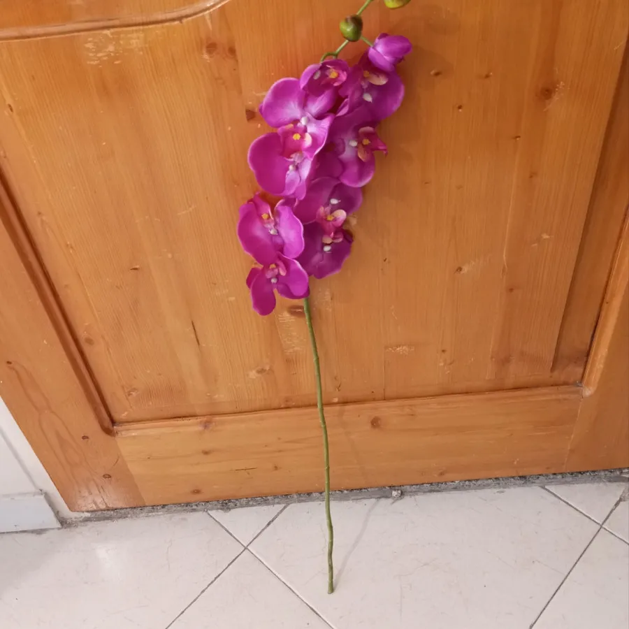 ارکیده مصنوعی یک متری