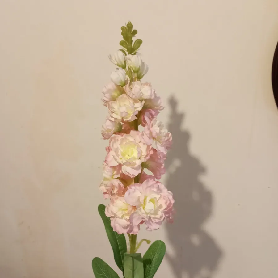 گل شب بو مصنوعی بلند