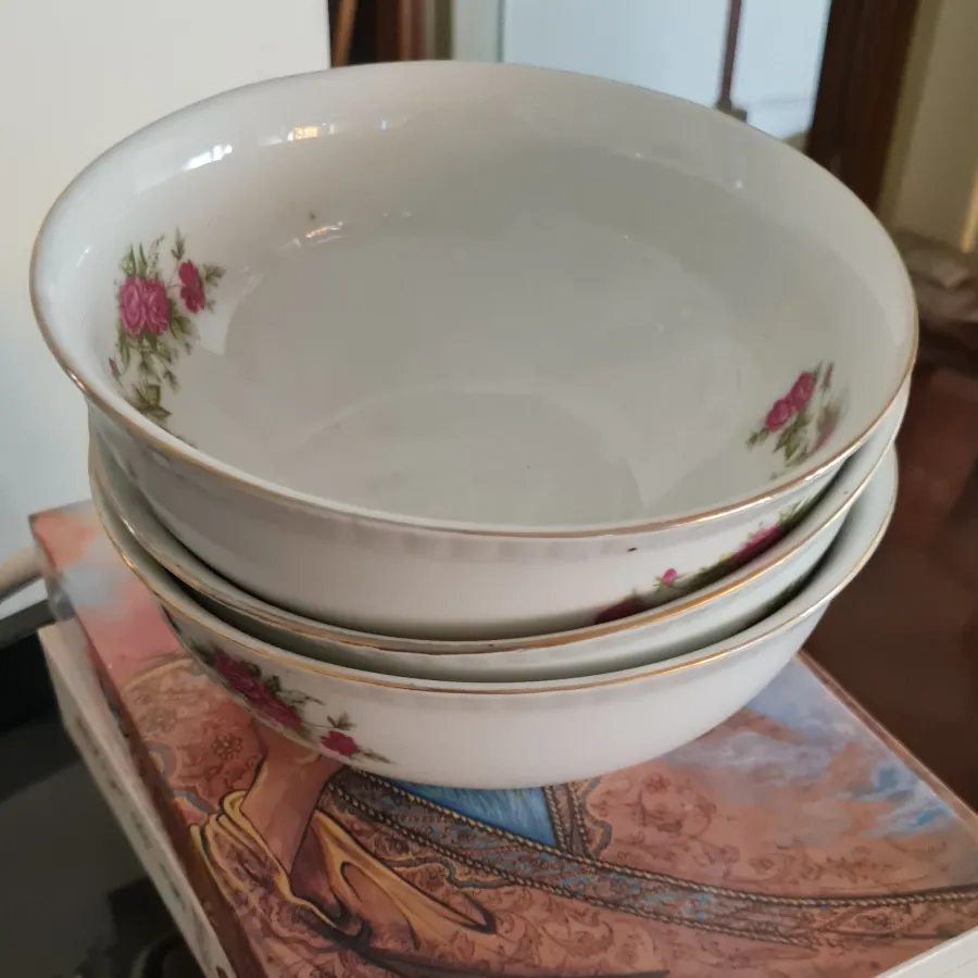تعدادی ظروف کارکزده