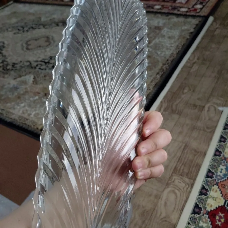 دیس ماهی