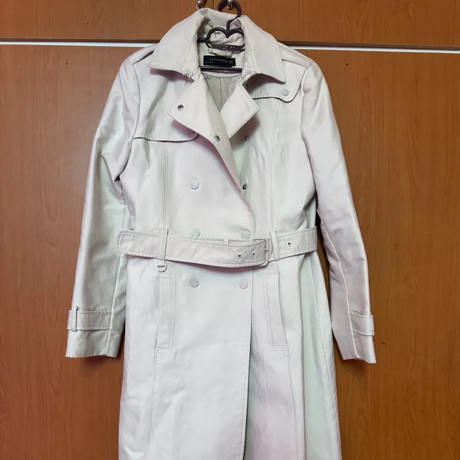 بارونی زارا اصل