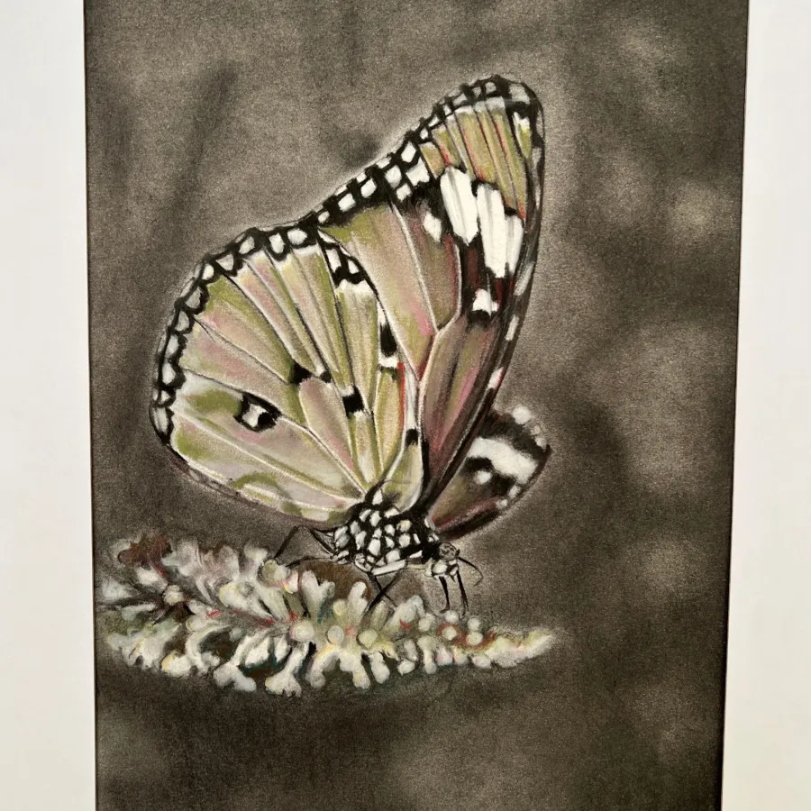 نقاشی مداد رنگی با قاب دپ