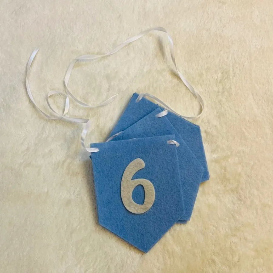 ریسه ی شش ماهگی