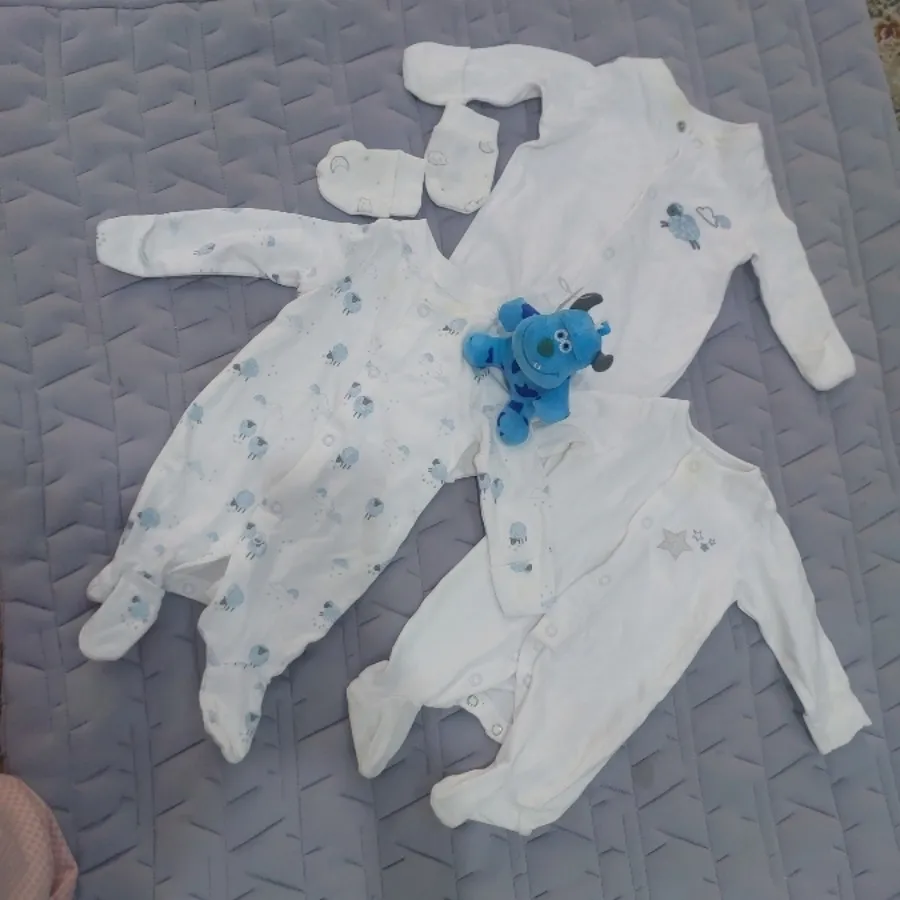 سرزمین نوزادی