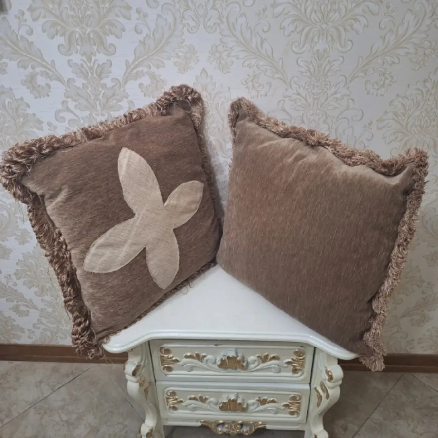 شش عدد کوسن پر شده