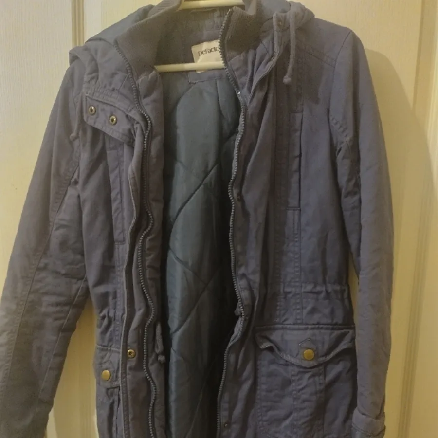 پالتو دفکتو