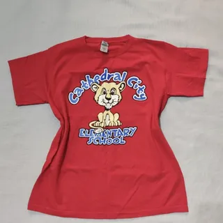 تیشرت اورجینال گیلدان