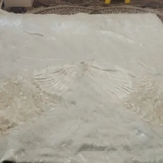 روتختی نو مجلسی