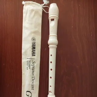 فلوت ریکوردر