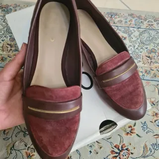 کفش برند aldo