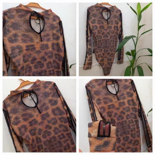 بادی پلنگی مجلسی