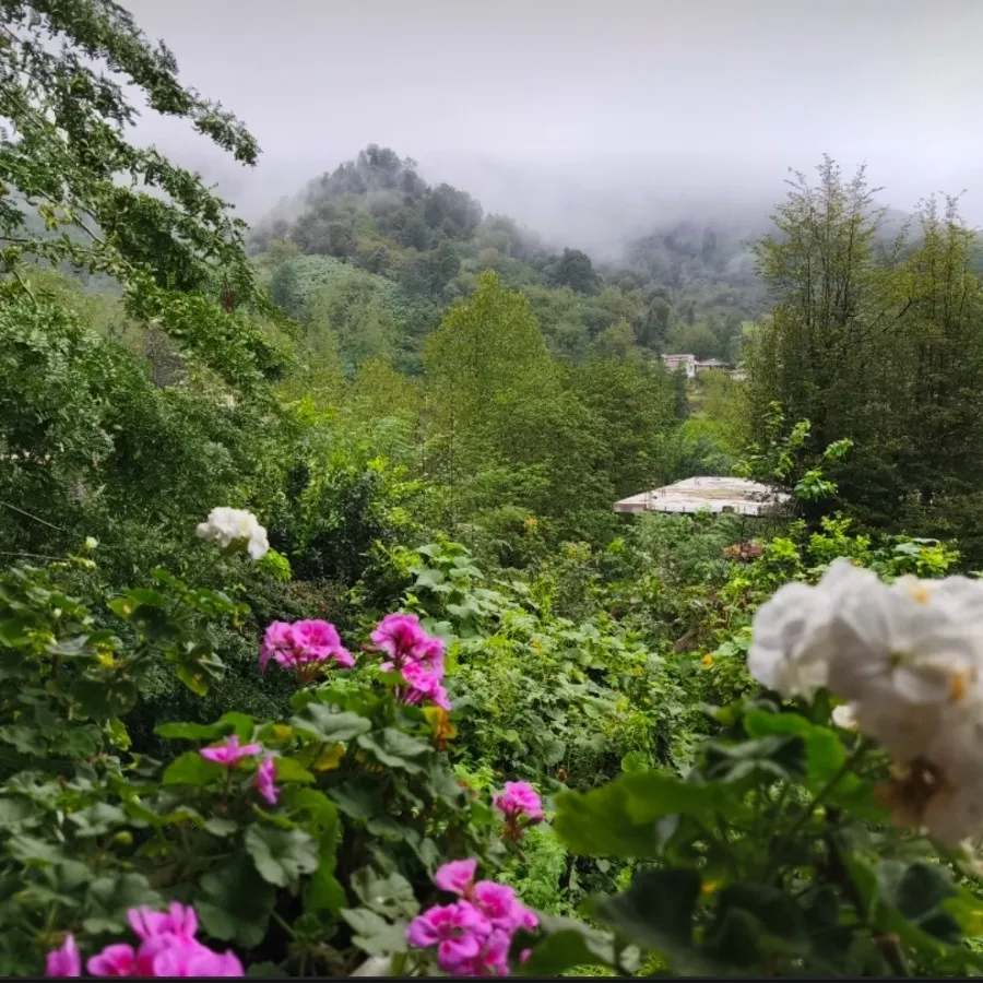 تخفیف کلیه ایتم ها