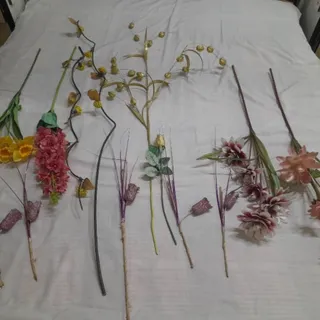 گل های مختلف