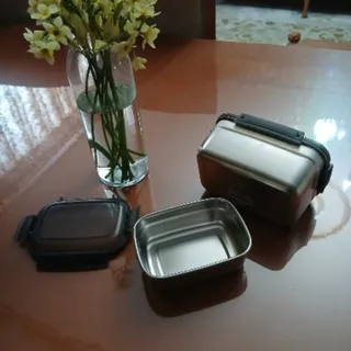 ظرف غذای استیل بادرب پلاس