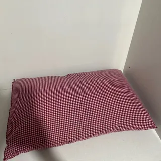 بالش
