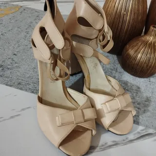 کفش مجلسی