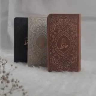 دیوان حافظ پالتویی❄️♥️