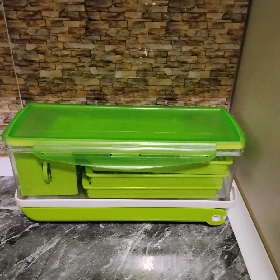 نایسر دایسر آلمانی اصل