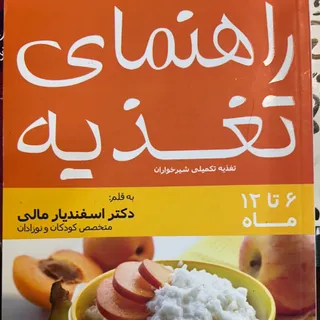 راهنمای تغذیه 6 تا 12 ماه