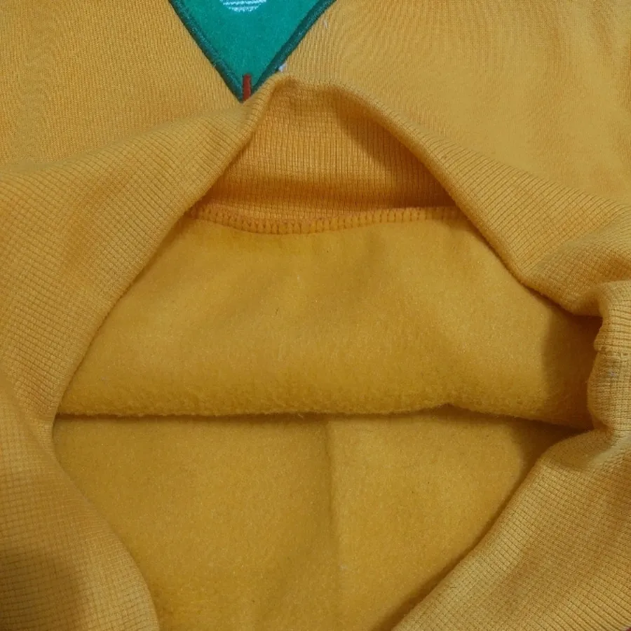 هودی پسرانه
