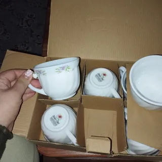 فنجان ارکوپال