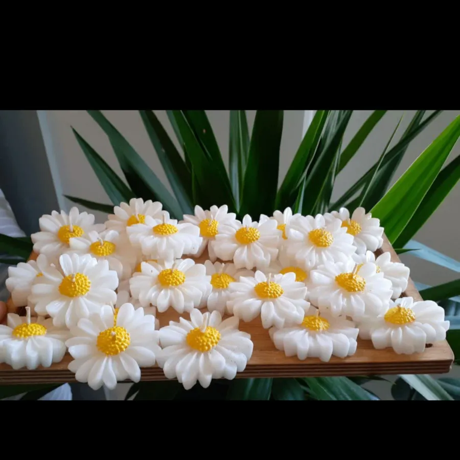 شمع بابونه