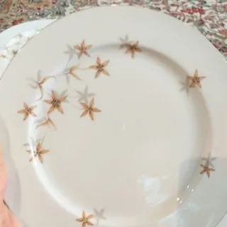 پلو خوری قدیمی ژاپنی