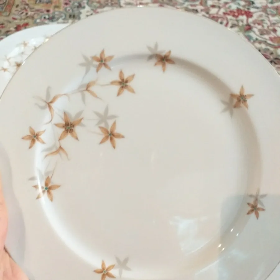 پلو خوری قدیمی ژاپنی