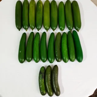 میوه مصنوعی