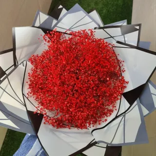 گل عروس