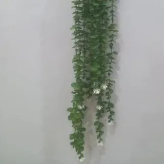 ریسه دکوری