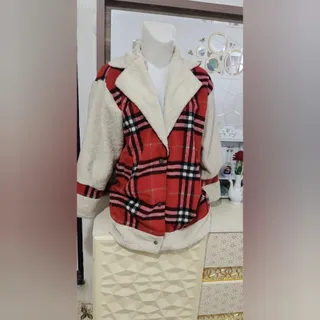 پالتو